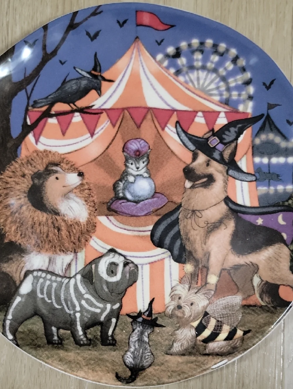 Pier 1 Dogs In Costumes At Midnight White Ironstone Plate Backstamp Set Of 4